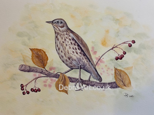 Songthrush